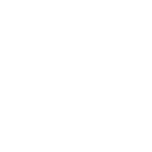 Lexus Den Haag